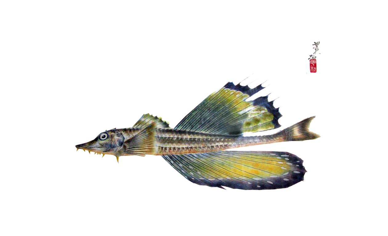 Gyotaku - Japanese School