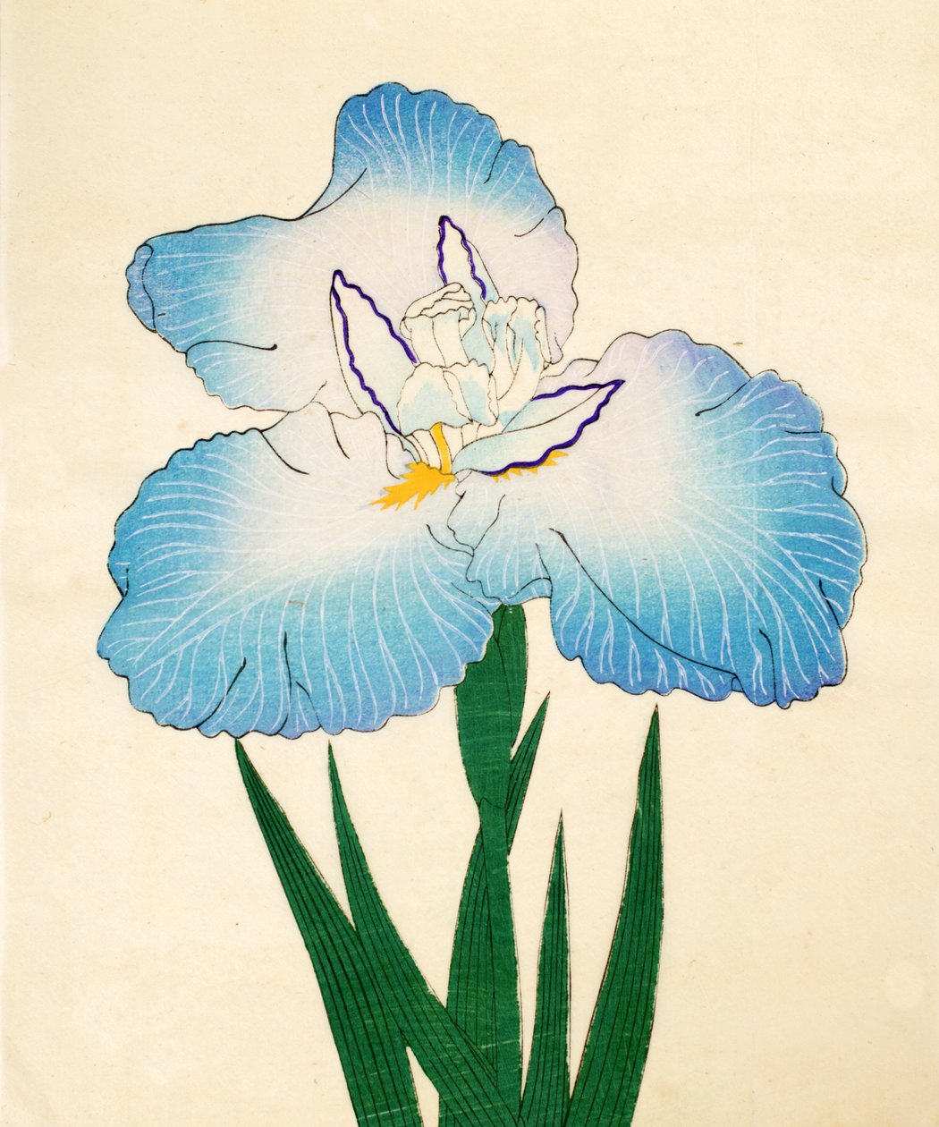 Irojiman, No. 80, 1890 - Japanese School