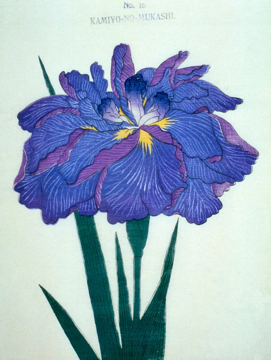 Kamiyo-no.-Mukashi no.16, 1898 - Japanese School