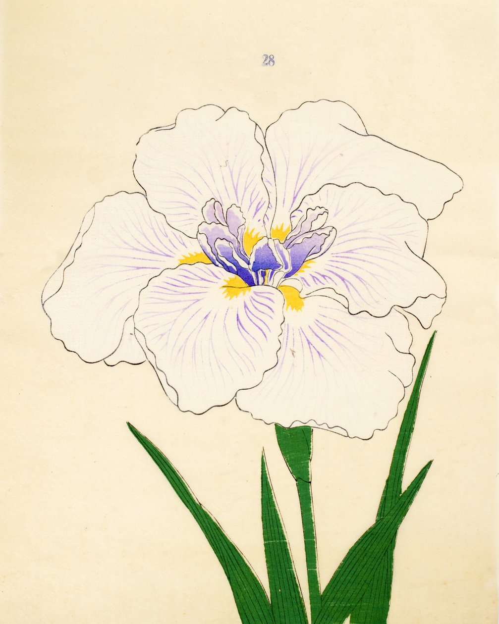 Manu-Zuru, n° 28, 1890 - Japanese School