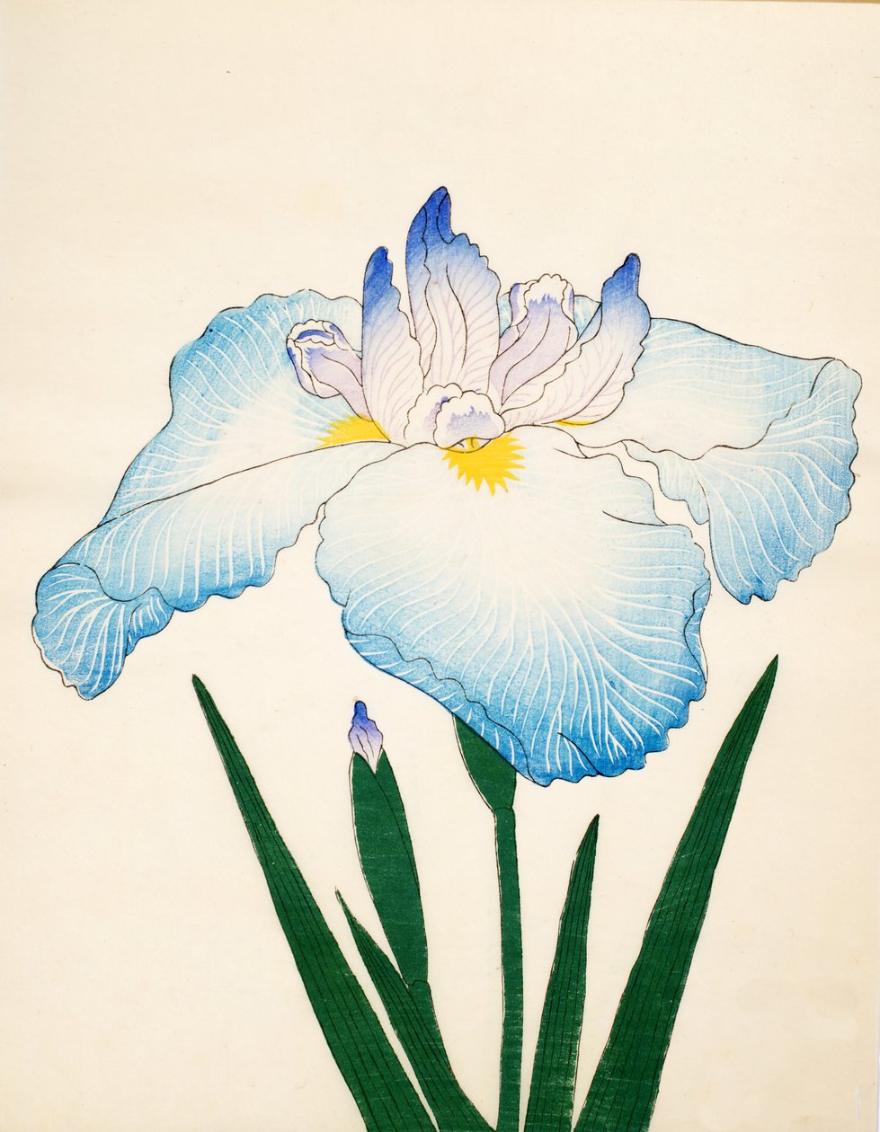 Sazanami, No. 68 - Japanese School