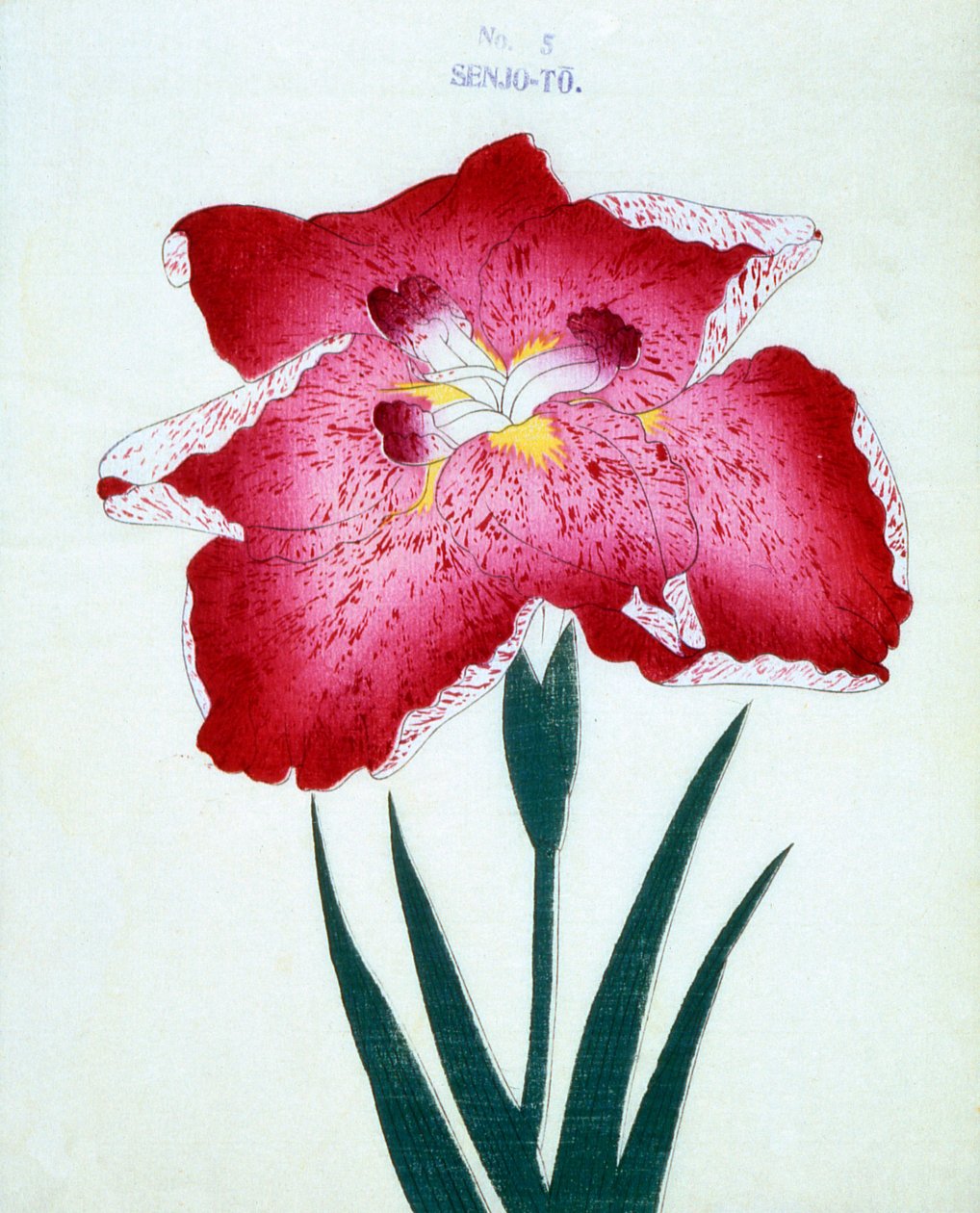 Senjo-To, no.5, 1898 - Japanese School
