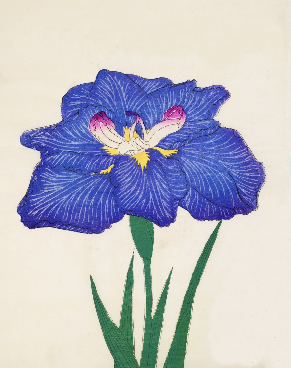 Shiga-no.-Uranami, no.3, 1898 - Japanese School