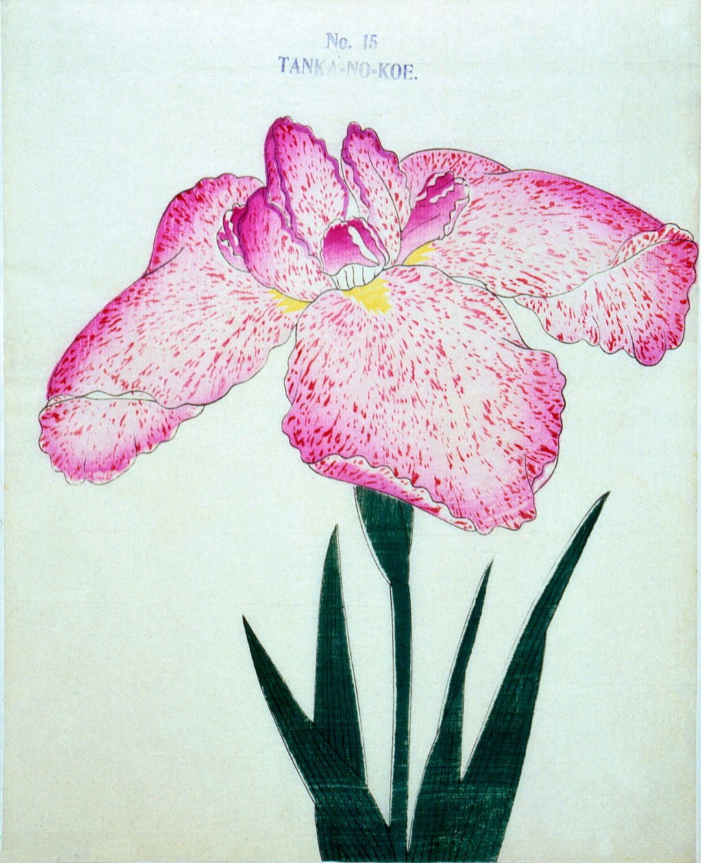 Tanka-no.-Koe, no.15, 1898 - Japanese School