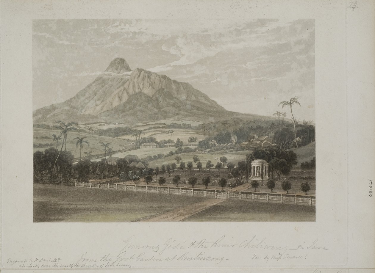 Jardin à Buitenzorg - Javanese School