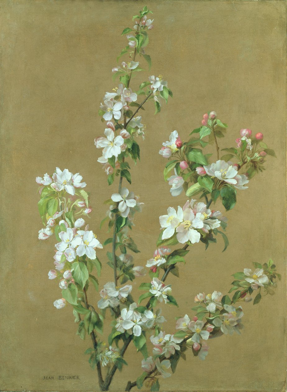 Fleur de pommier - Jean Benner