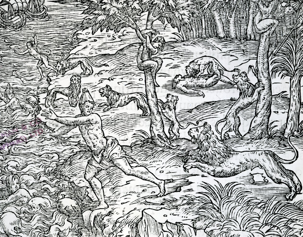 Lions attaquant et mangeant des humains, illustration de 