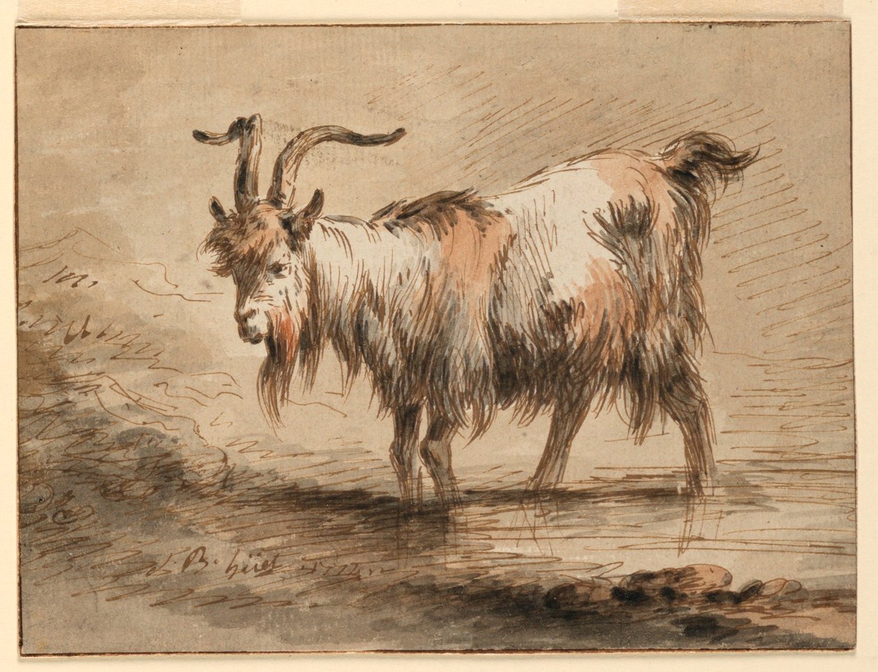 Dessin, Étude d