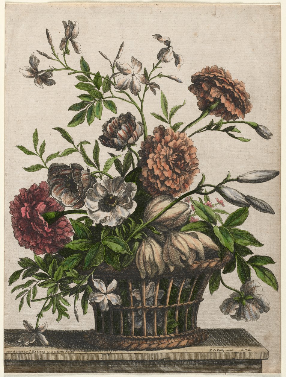 Soucis, anémone simple, jasmin... - Jean Baptiste I Monnoyer
