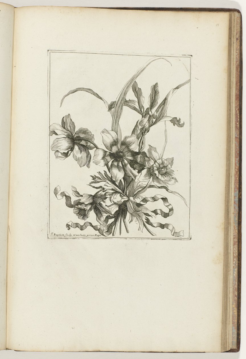 Bouquet lié (Les Petits Bouquets) - Jean Baptiste Monnoyer