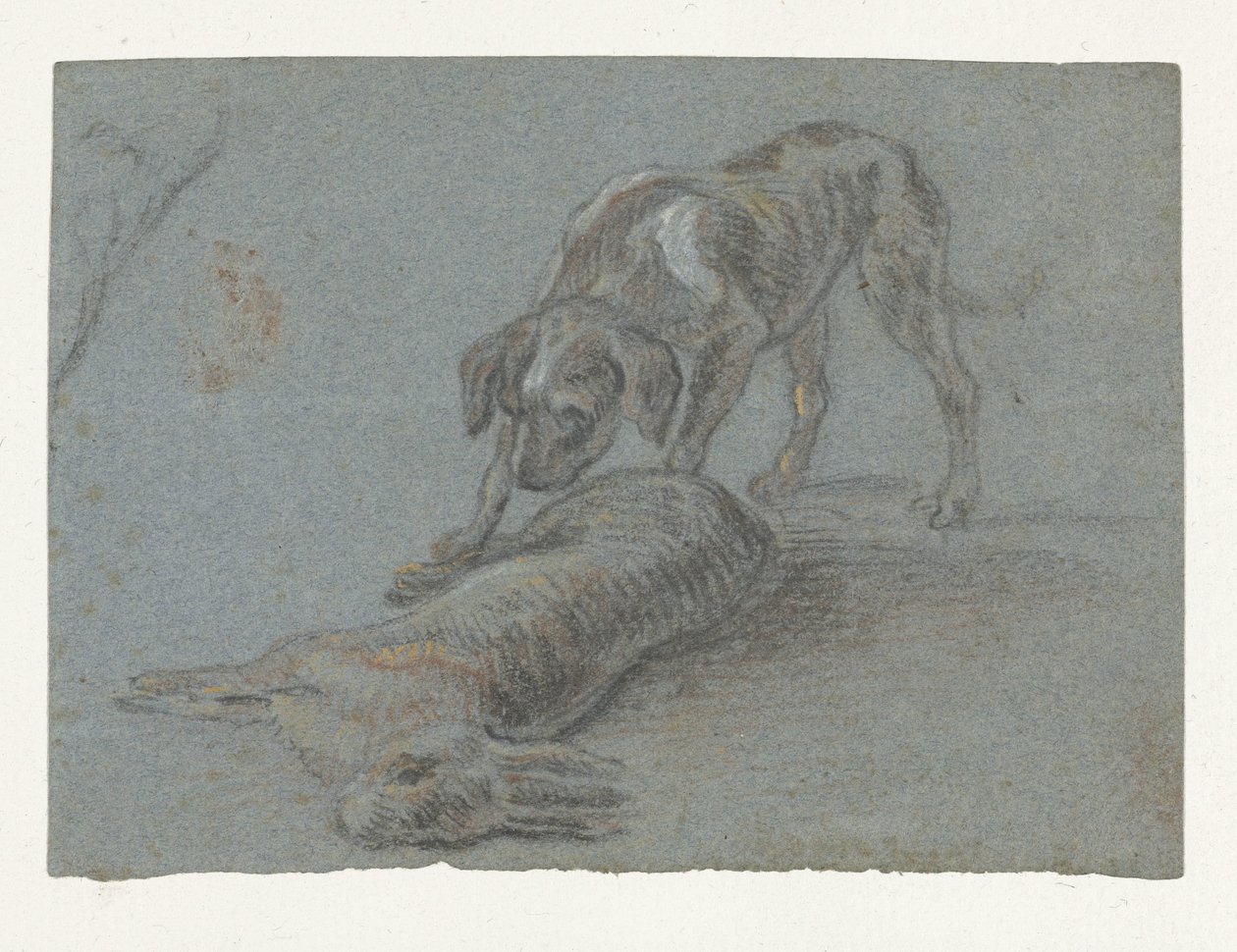 Chien près d