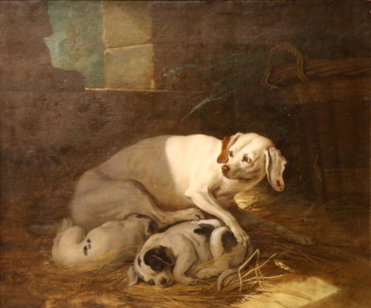 Chienne allaitant ses petits. - Jean Baptiste Oudry