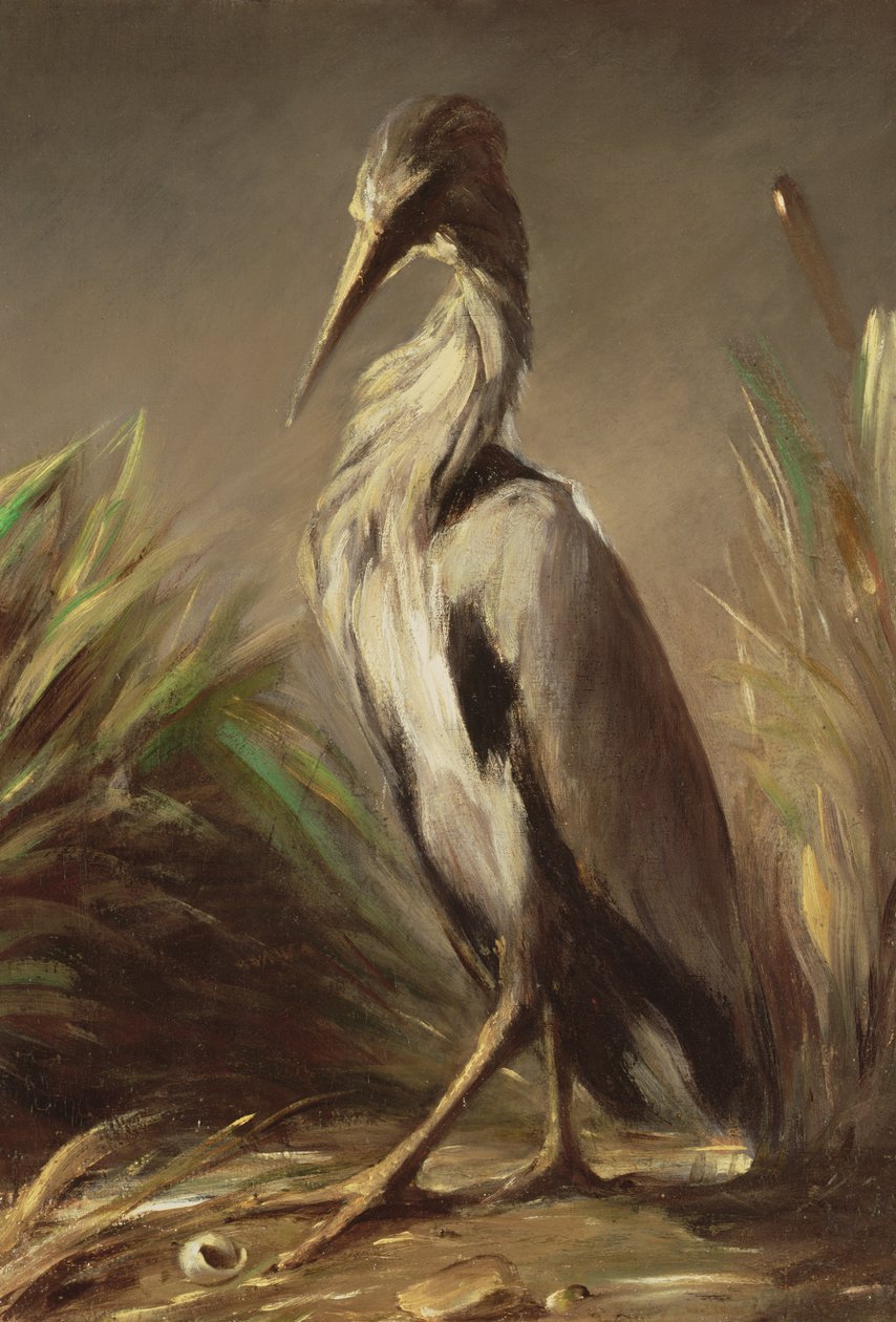 Image inconnue - Jean Baptiste Oudry