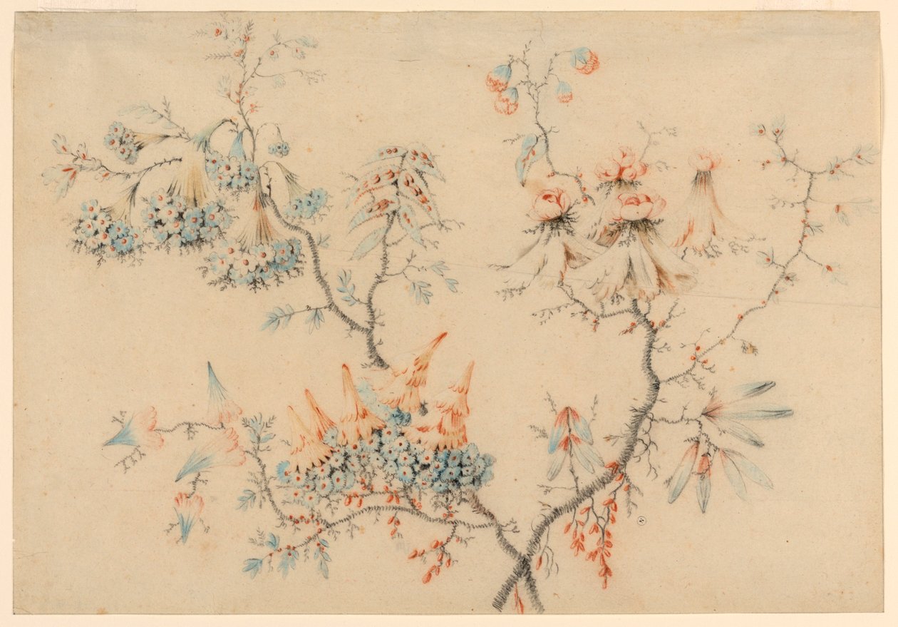 Dessin, branches fleuries, 1775-1800 - Jean Baptiste Pillement