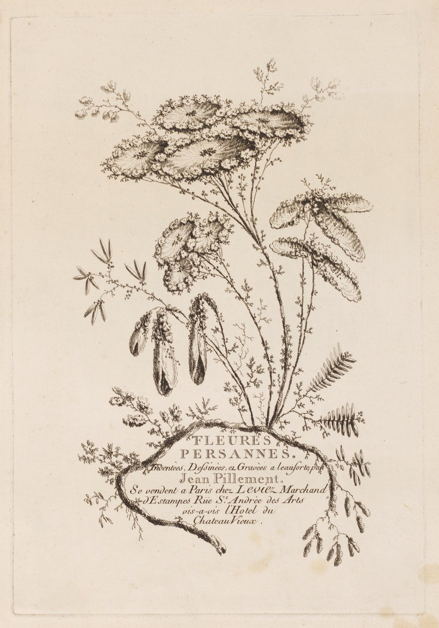 Page de titre, de "Fleures Persannes" - Jean Baptiste Pillement
