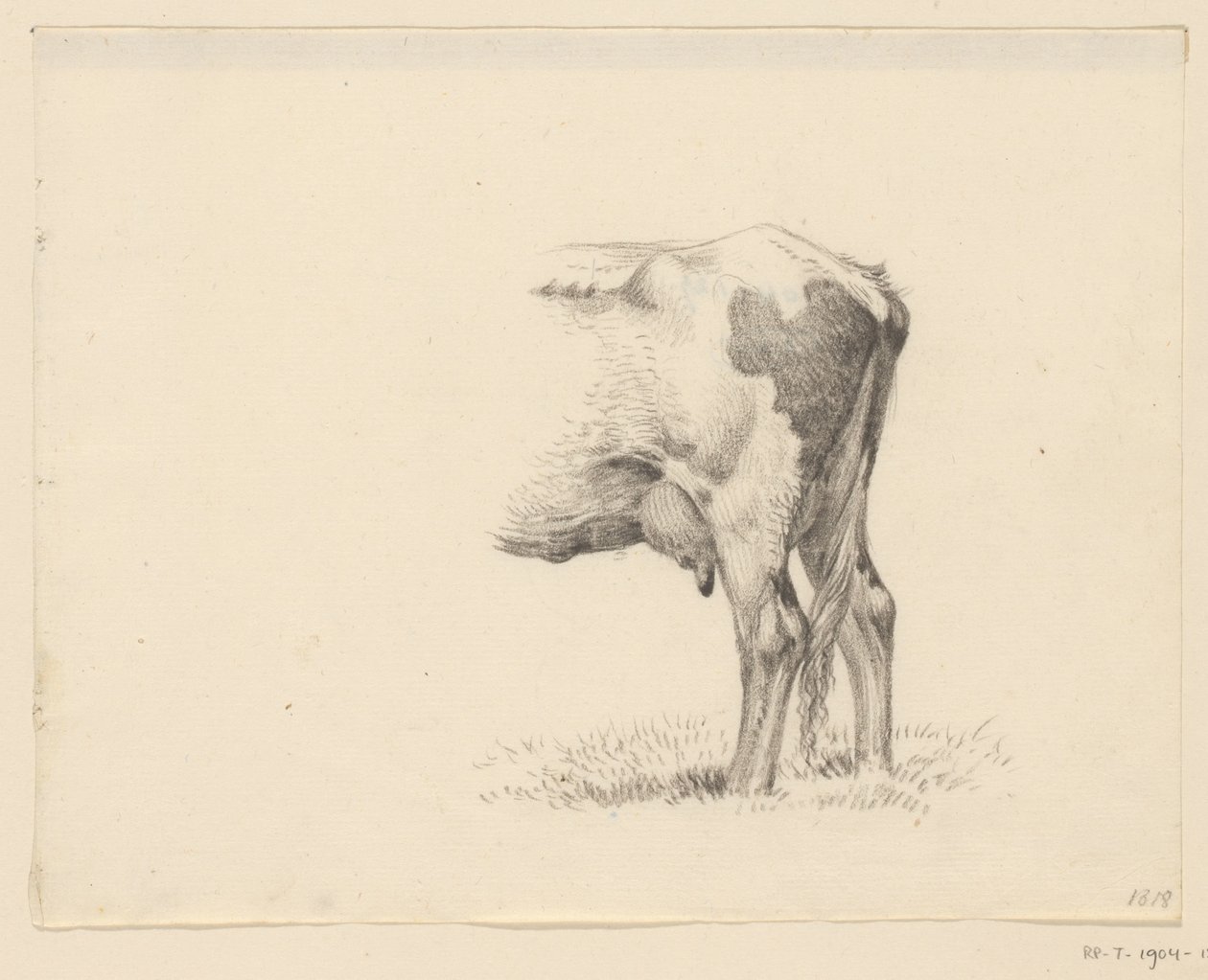 Pattes arrière d