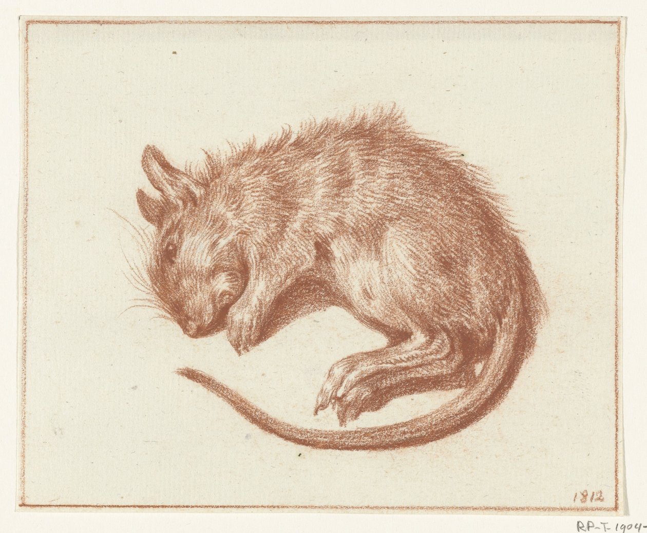 Rat mort - Jean Bernard