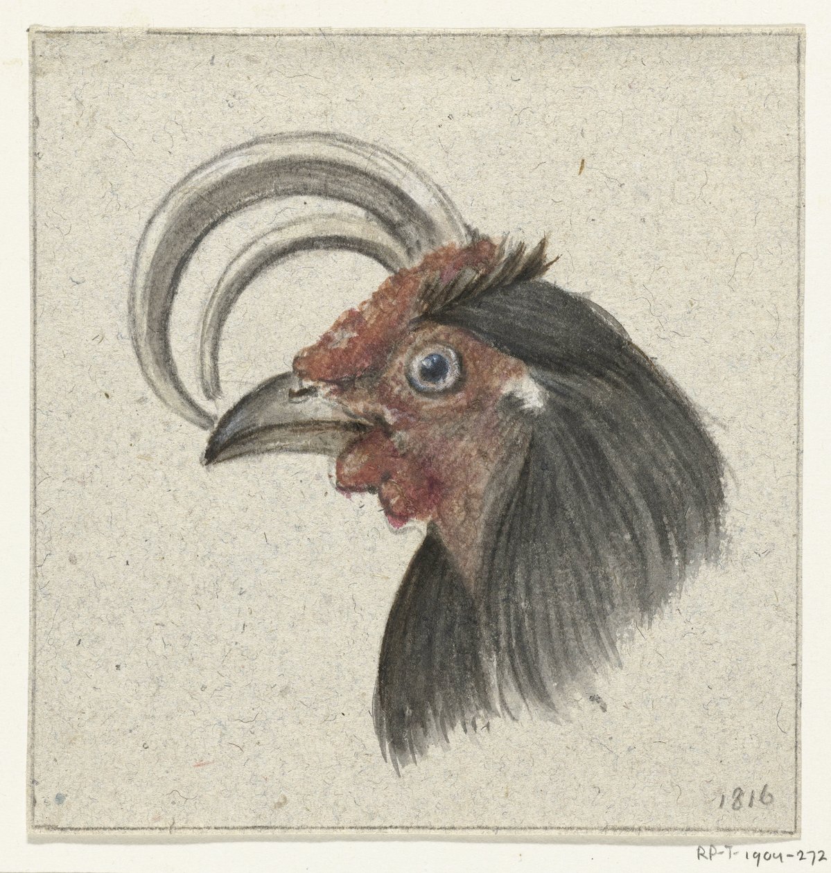 Tête d