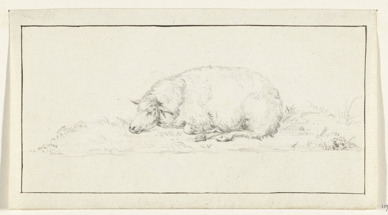 Mouton couché, vers la gauche - Jean Bernard