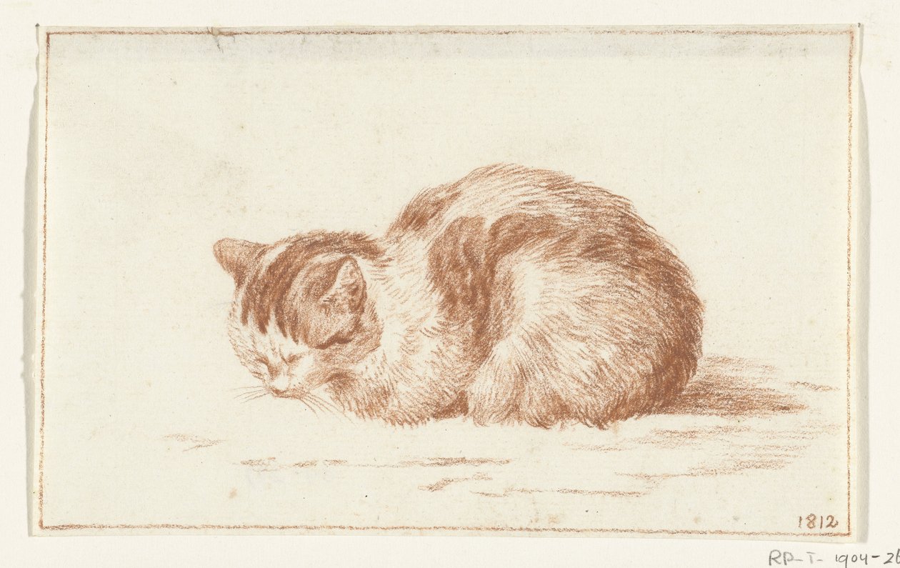 Chat couché, vers la gauche - Jean Bernard