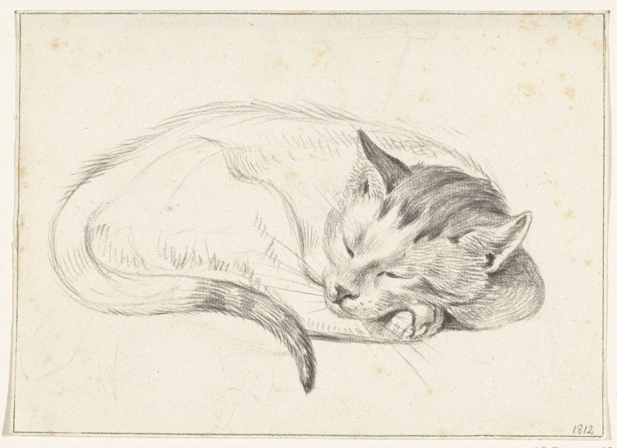 Chat endormi enroulé - Jean Bernard