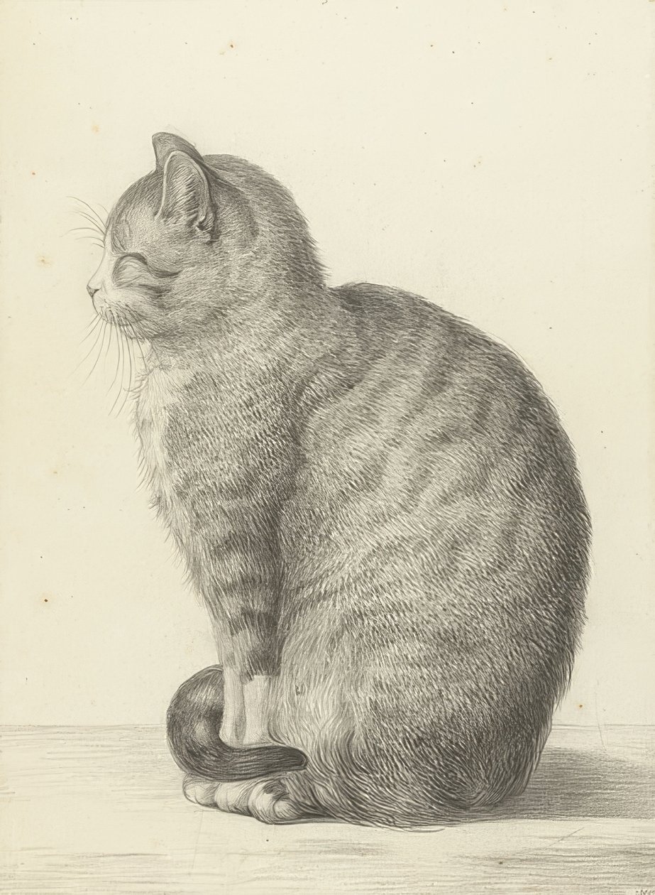 Chat assis, vers la gauche - Jean Bernard