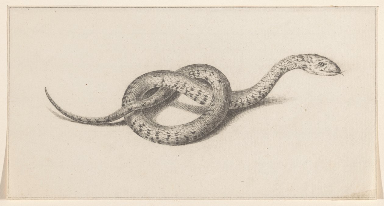 Serpent - Jean Bernard