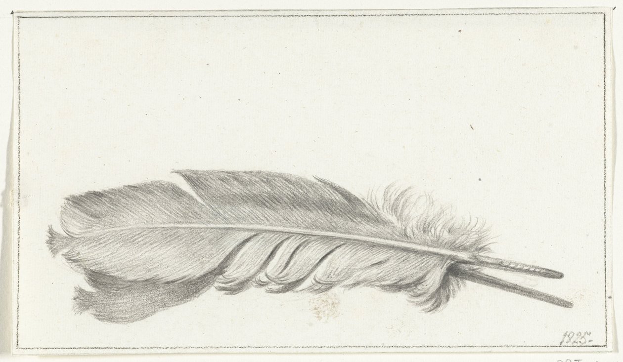 Plume - Jean Bernard