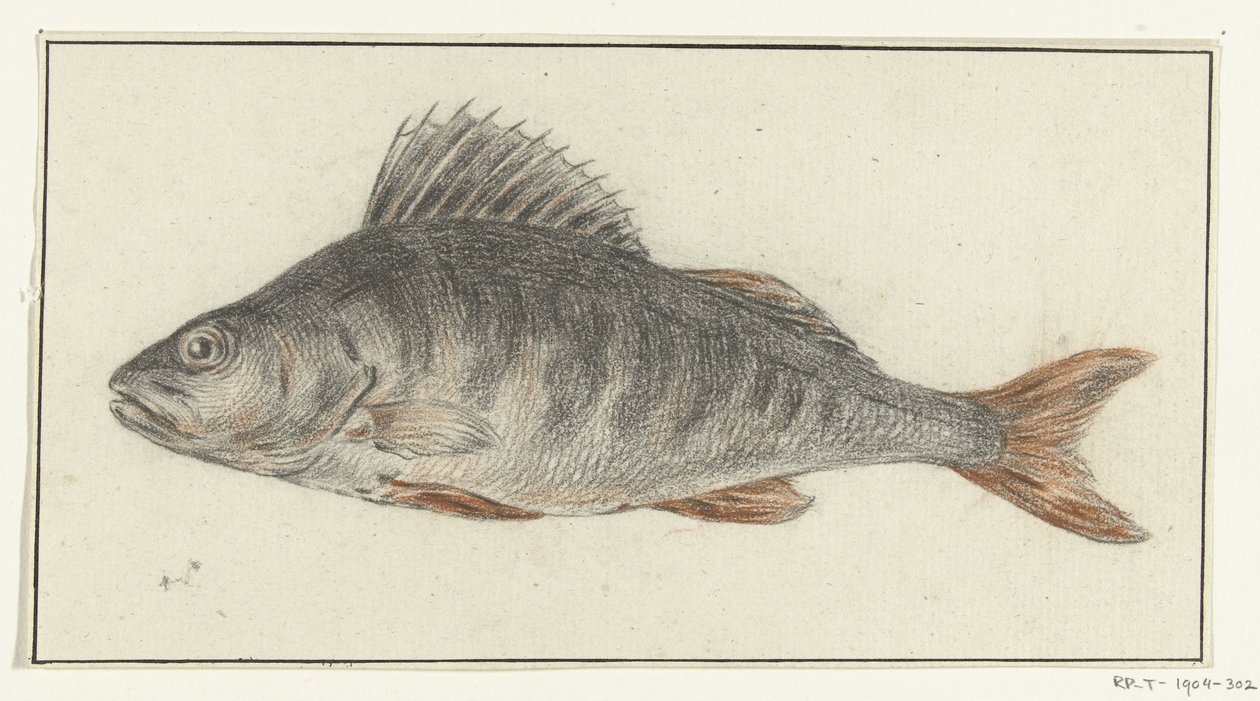 Poisson - Jean Bernard