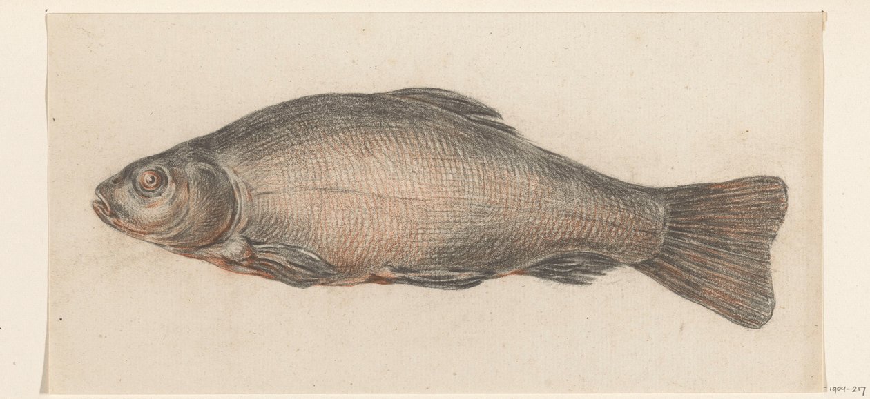 Poisson, vers la gauche - Jean Bernard