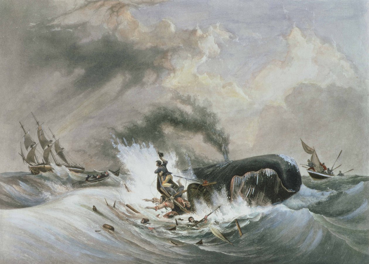 La baleine - Jean Francois (after) Garneray