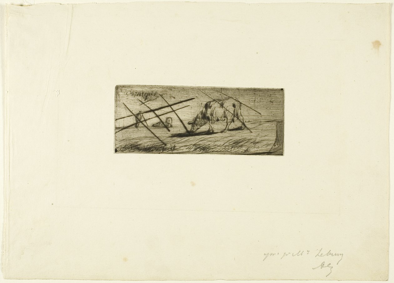 Un mouton broutant - Jean Francois Millet
