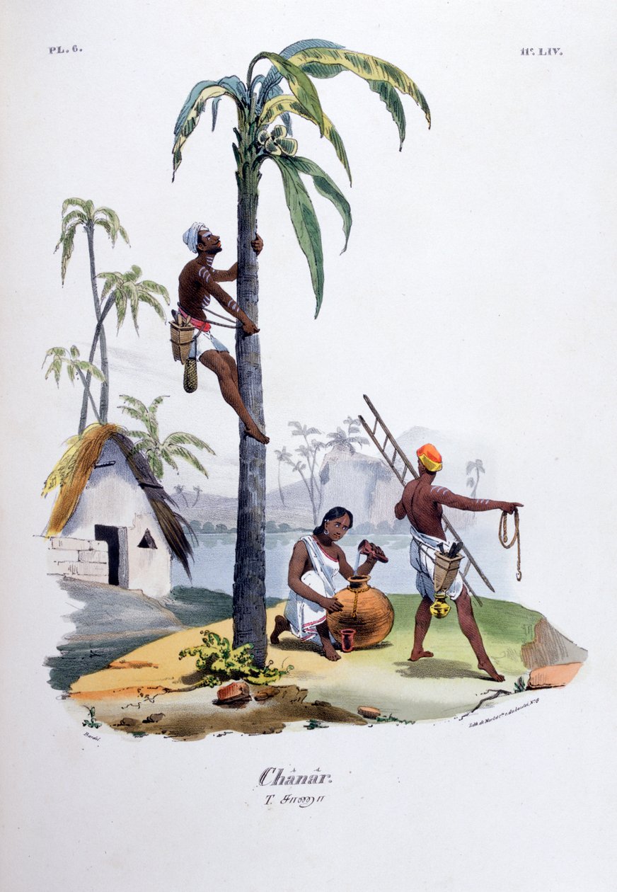 Chanar, 1828 - Jean Henri Marlet