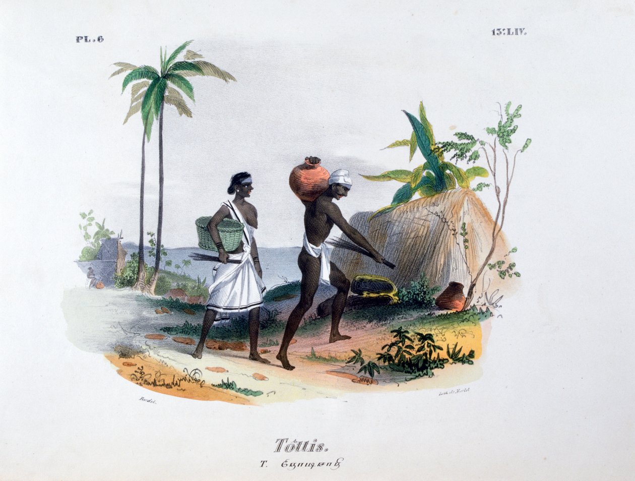Tottis, 1828 - Jean Henri Marlet