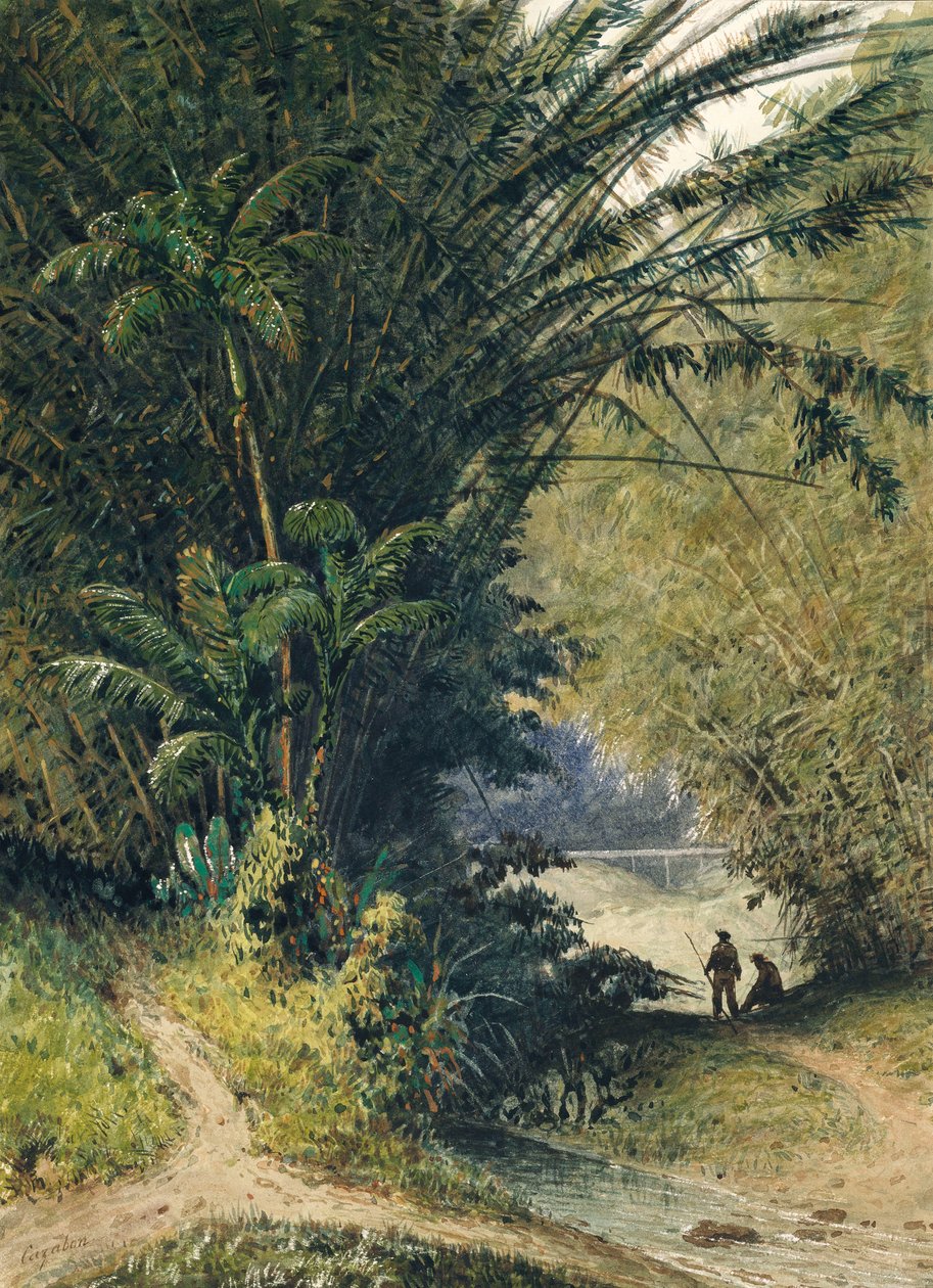Une bambouseraie à Trinidad - Jean Michel Cazabon