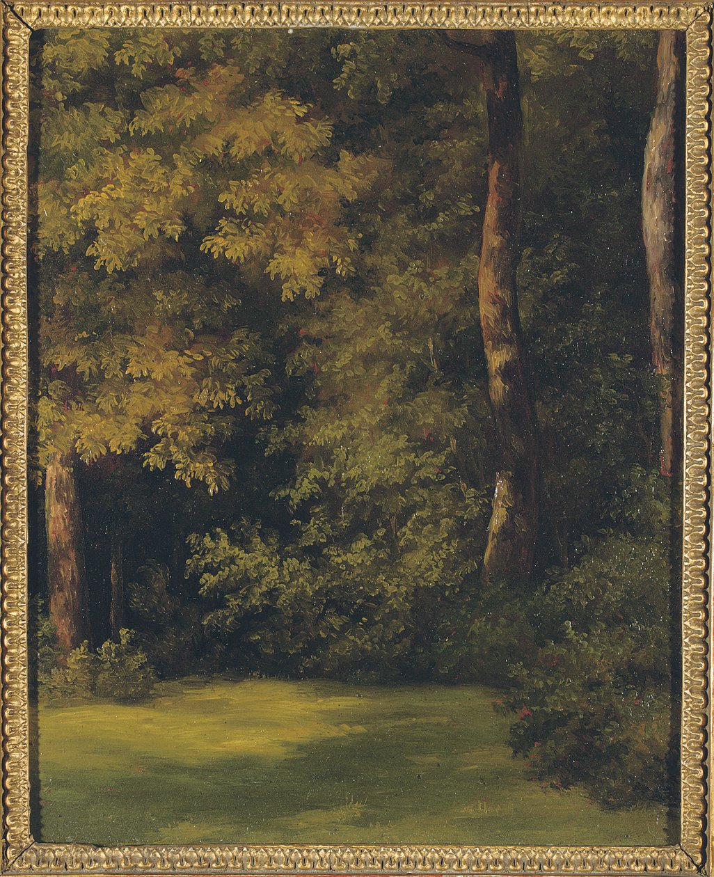 Une clairière boisée, 1840 - Jean Michel Cels