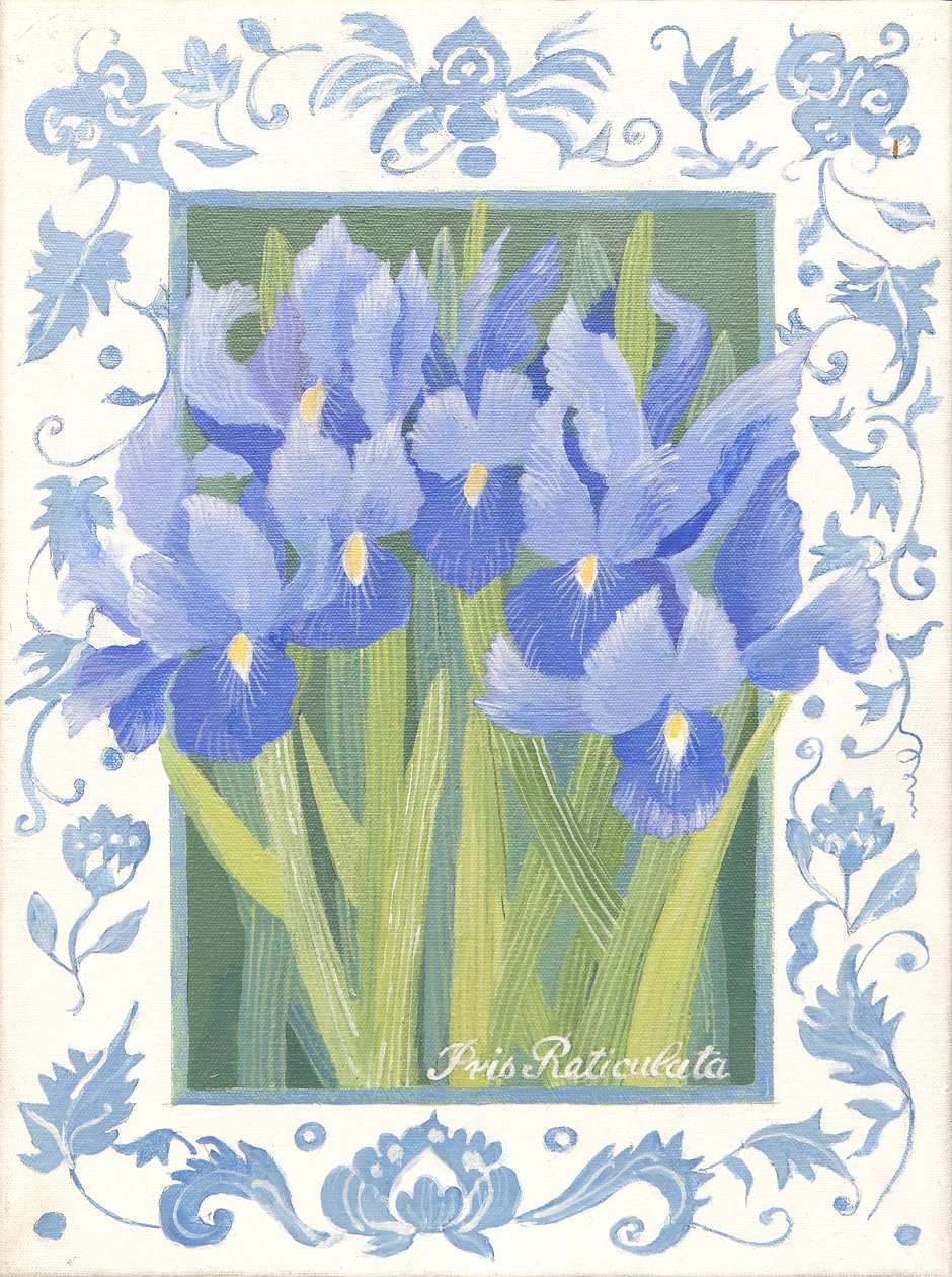 Iris bleu (acrylique) - Jennifer Abbott