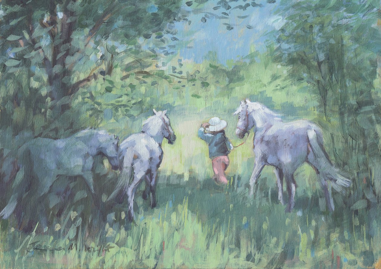 Poneys d