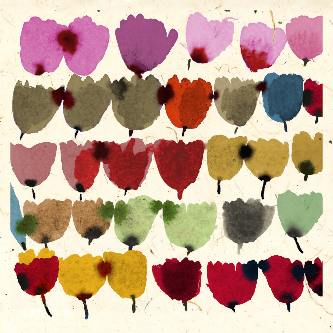Tulipes encre - Jenny Frean