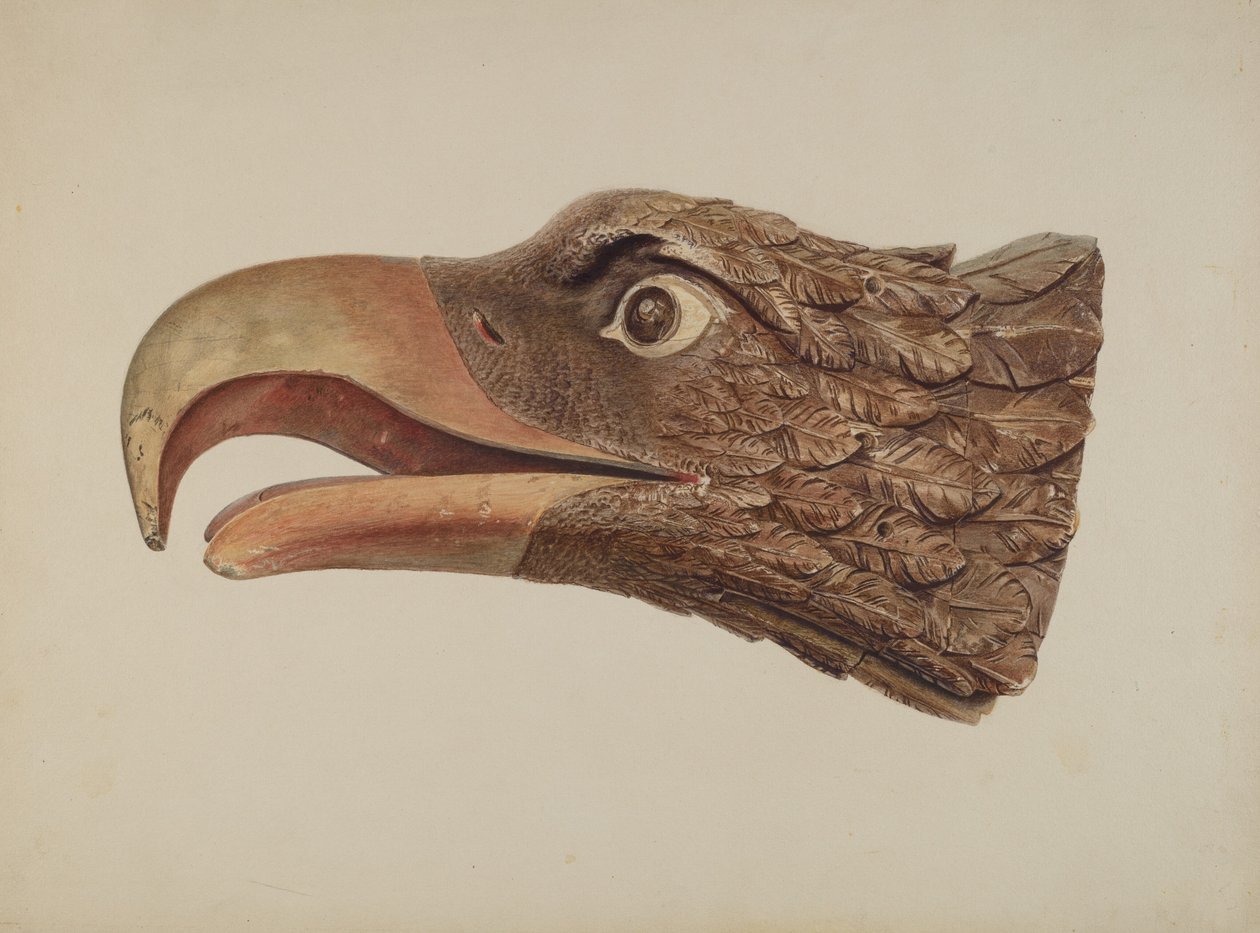 Aigle - Jerome Hoxie