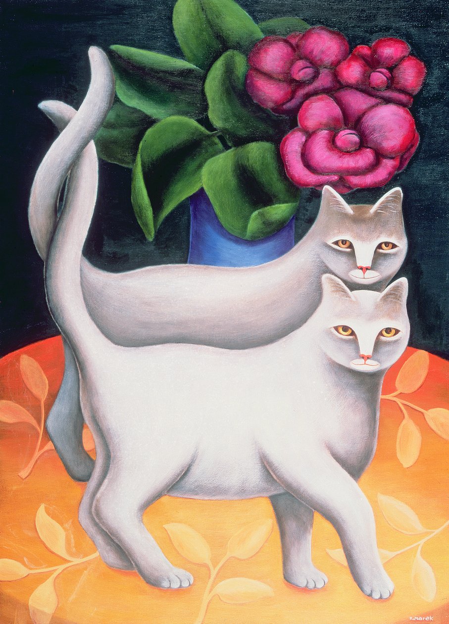 Tango - Jerzy Marek