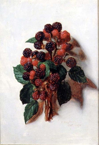 Octobre (d