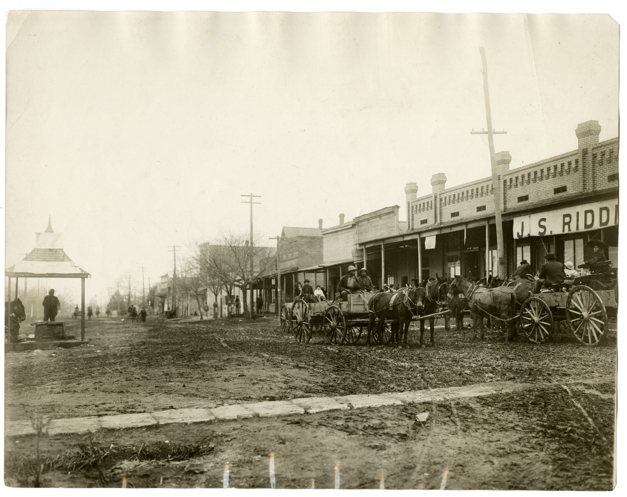 Arkansas 1903 - Jessie Tarbox Beals