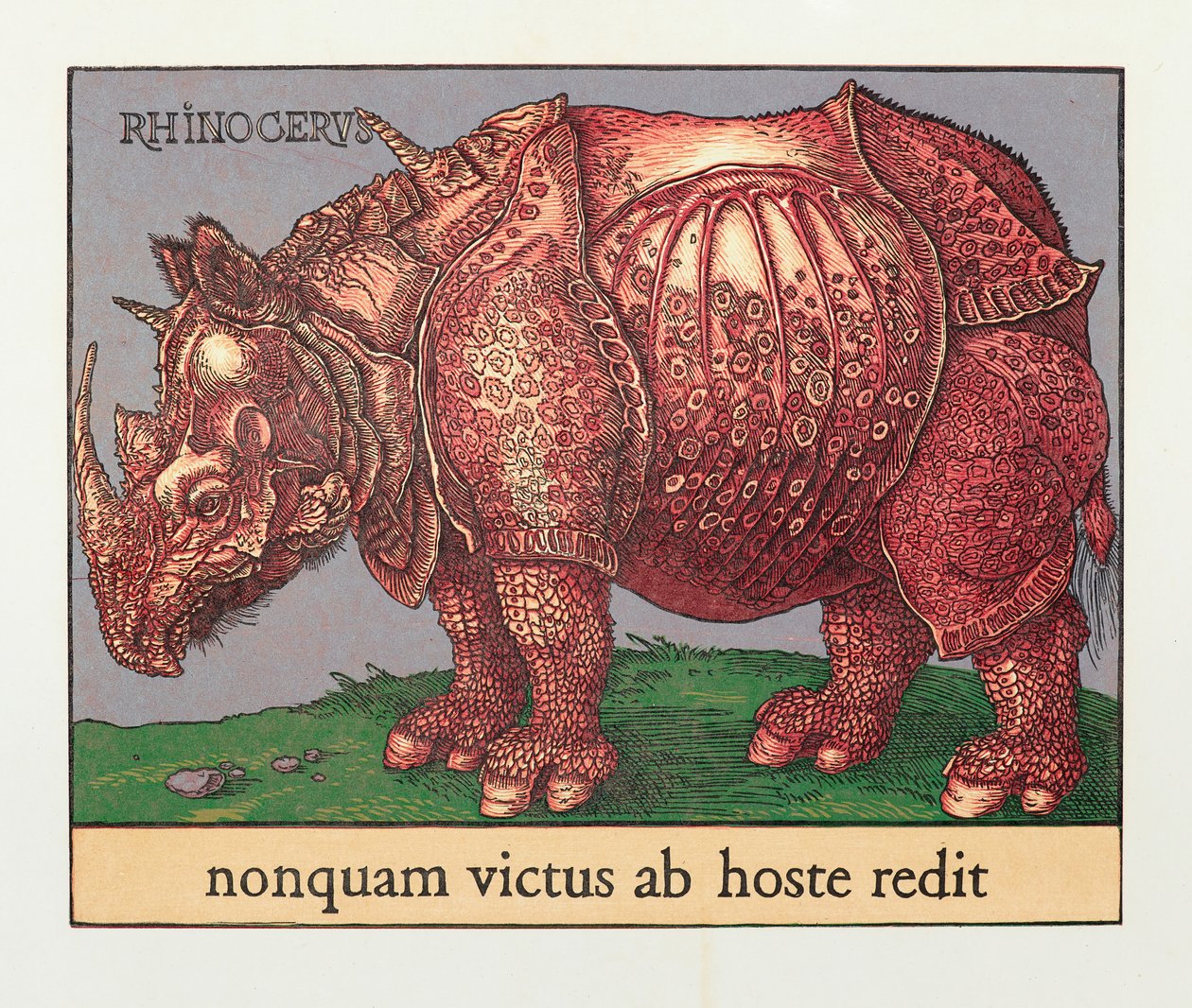 Rhinocéros Rouge, 2007 - Jim Monson
