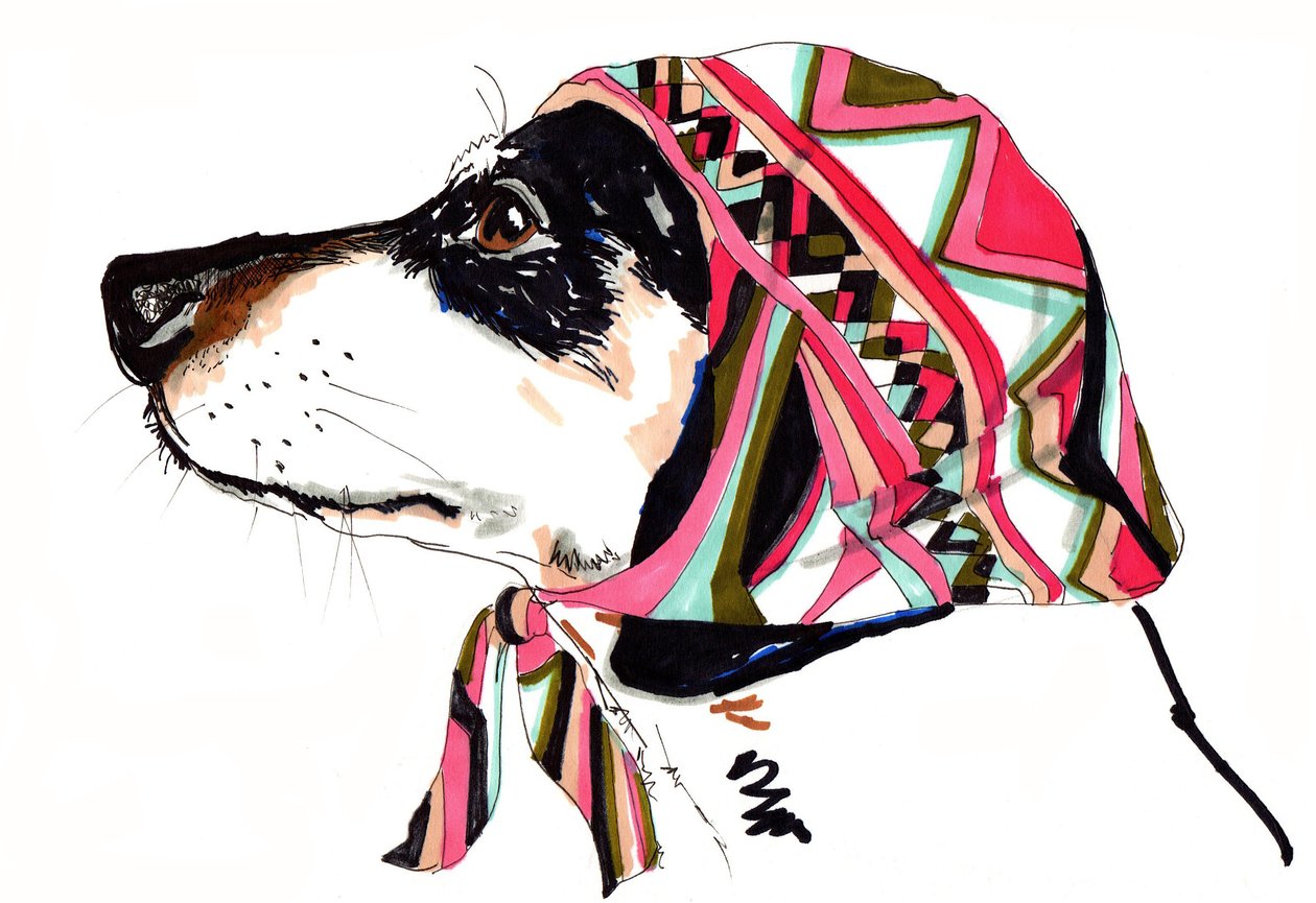 Chien en Pucci, 2012 - Jo Chambers