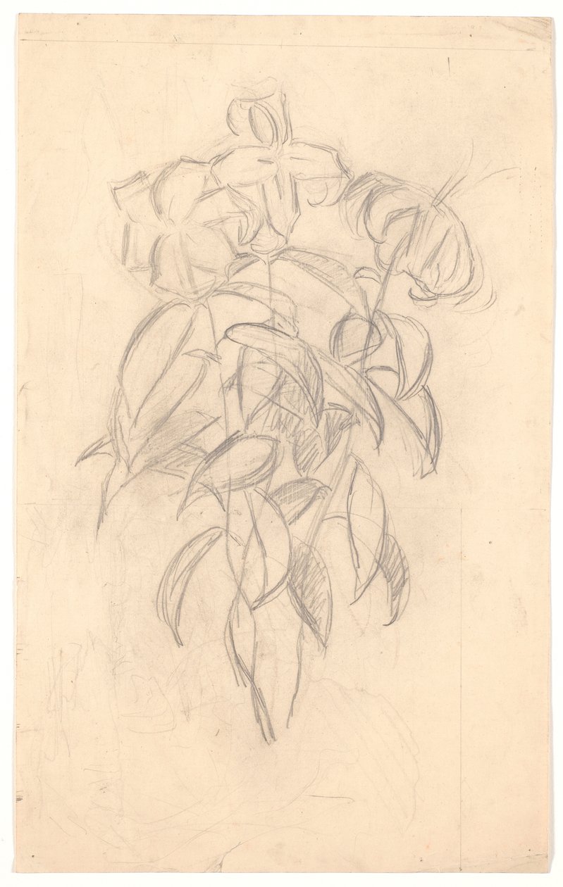 Étude de fleurs - Joakim Frederik Skovgaard