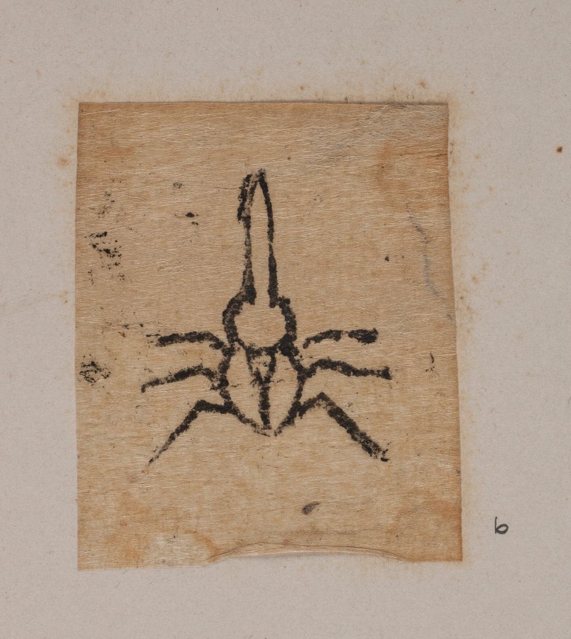 Insecte - Joakim Frederik Skovgaard