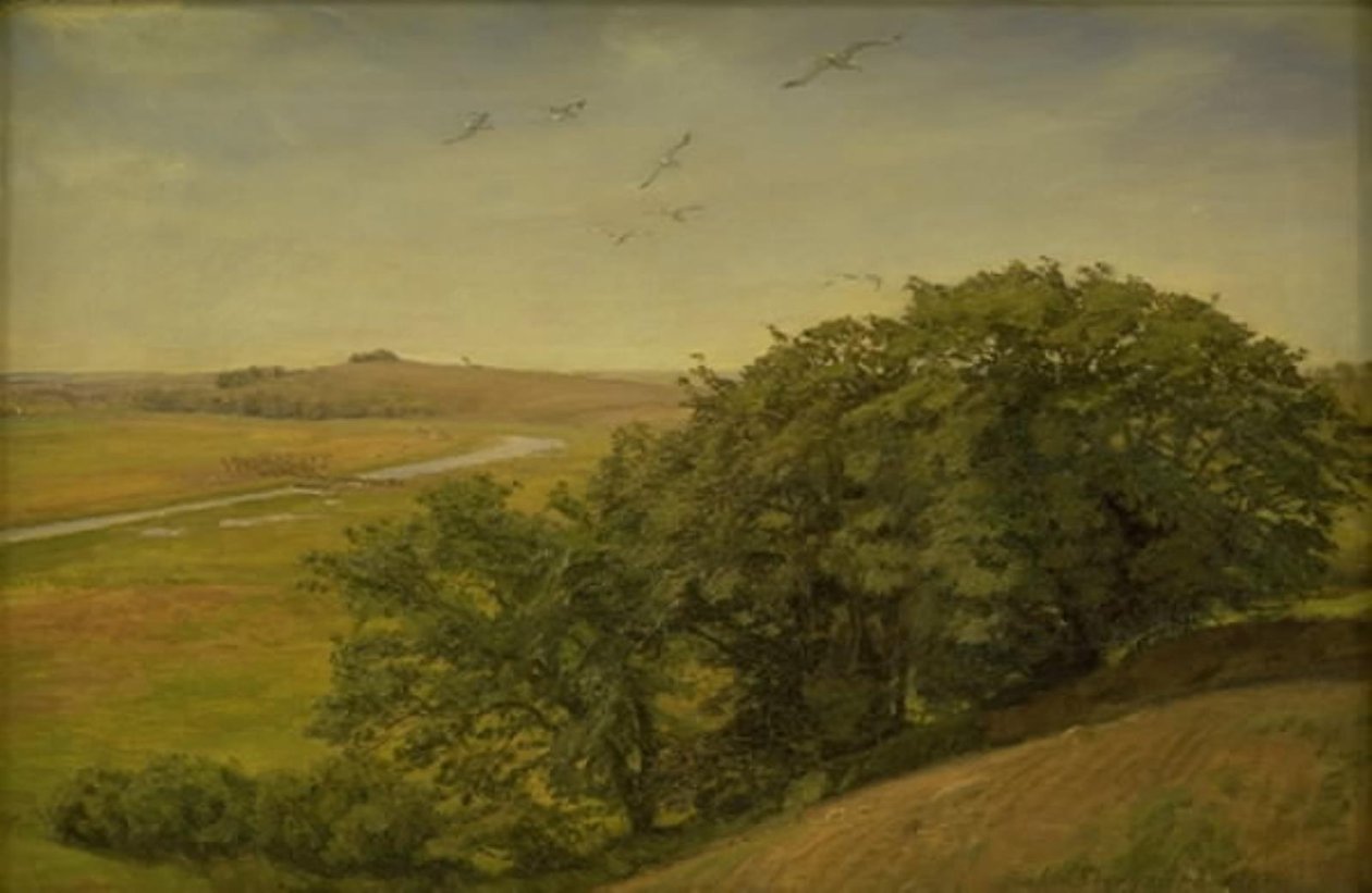 Paysage avec des arbres sur une pente - Joakim Frederik Skovgaard