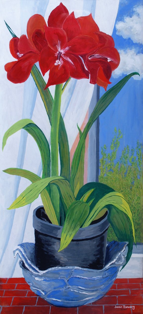 Amaryllis dans un bol bleu, 2011 - Joan Thewsey