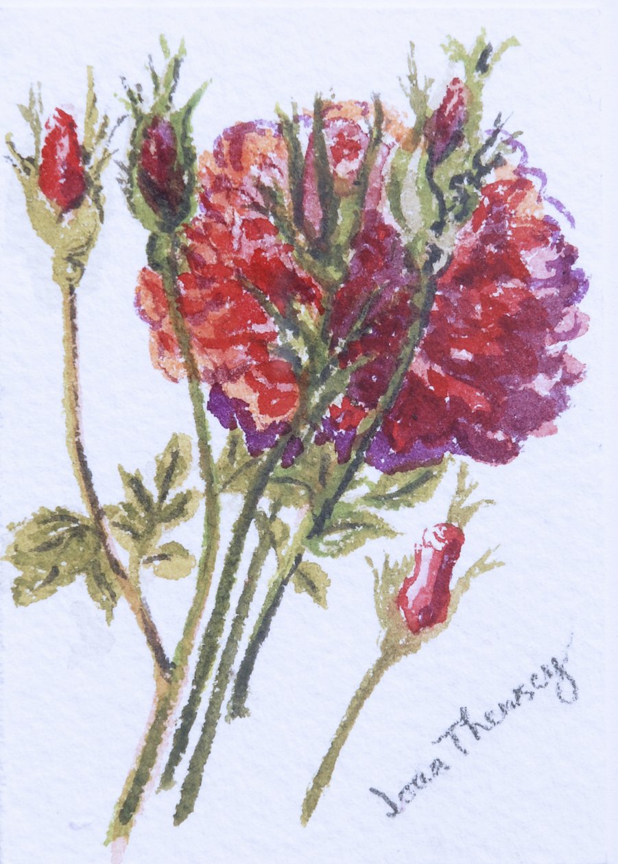 Petites Roses Rouges, 2005 - Joan Thewsey